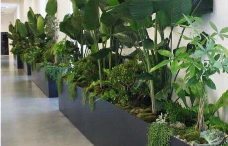 Artificial Plants